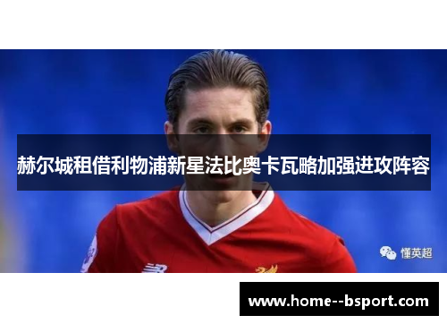 赫尔城租借利物浦新星法比奥卡瓦略加强进攻阵容 赫尔城租借利物浦新星法比奥卡瓦略加强进攻阵容